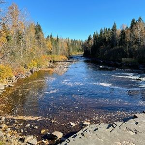 Meet your Posher, Anne
